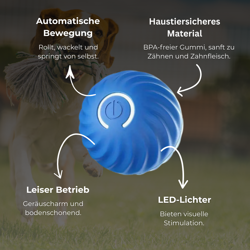 FidoSpin - Der Ball, der niemals müde wird