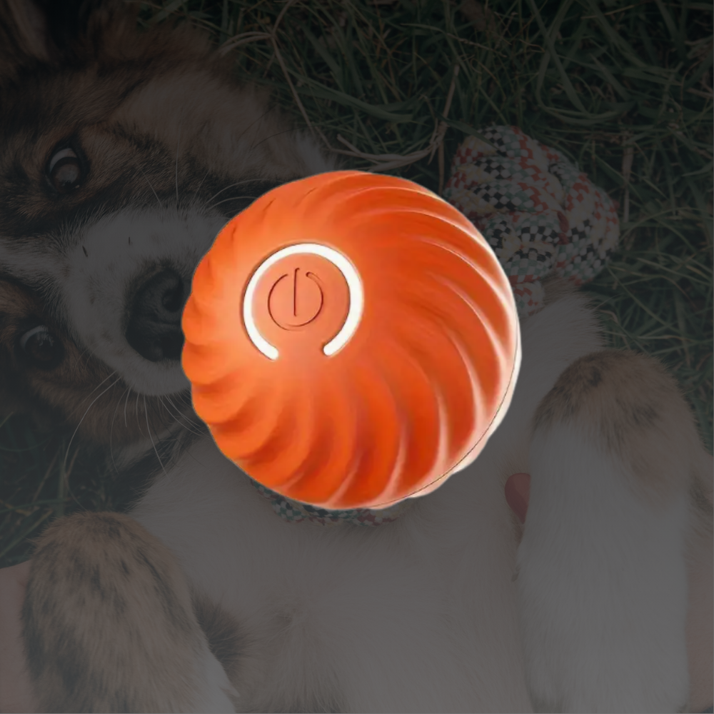 FidoSpin - Der Ball, der niemals müde wird