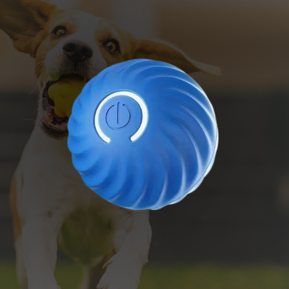 FidoSpin - Der Ball, der niemals müde wird