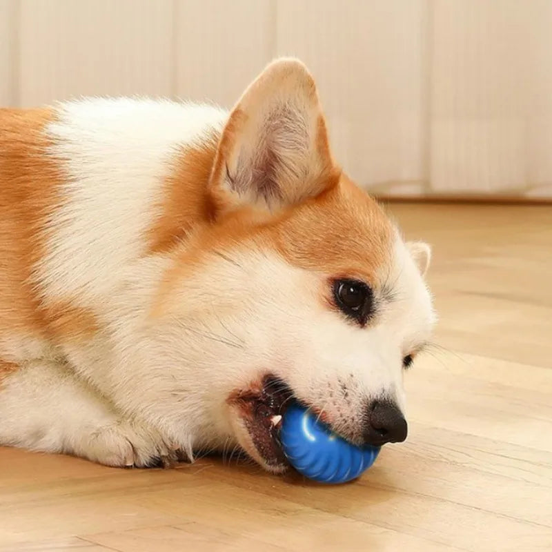 FidoSpin - Der Ball, der niemals müde wird