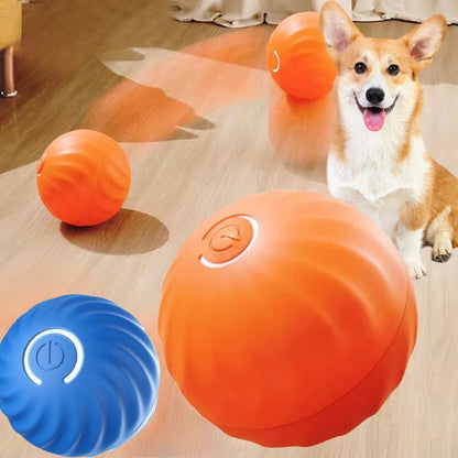 FidoSpin - Der Ball, der niemals müde wird