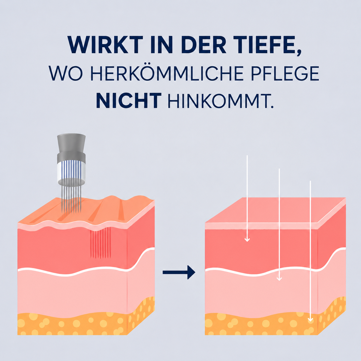 Skinora™ - Deine tägliche Glass-Skin Routine.